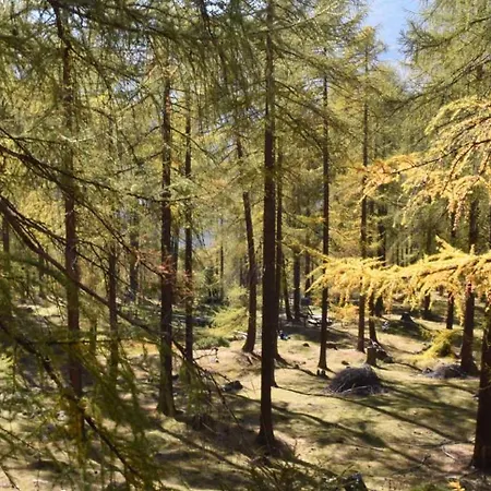 Plaun Grond Apartman Tschierv