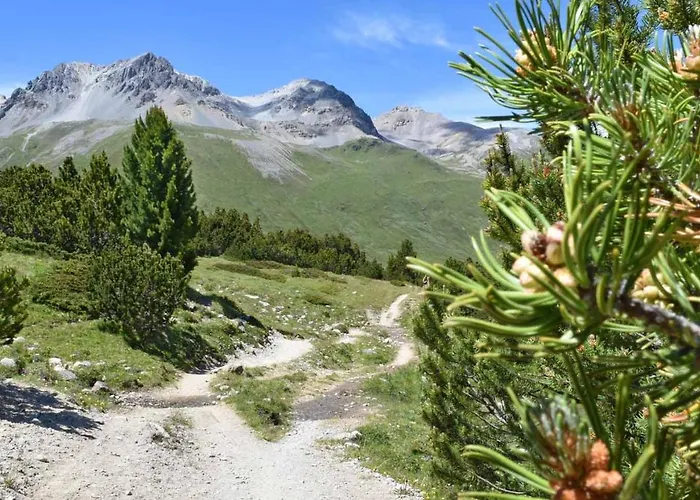 Plaun Grond Tschierv