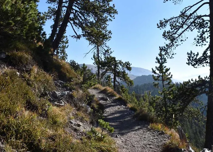 Plaun Grond * Tschierv