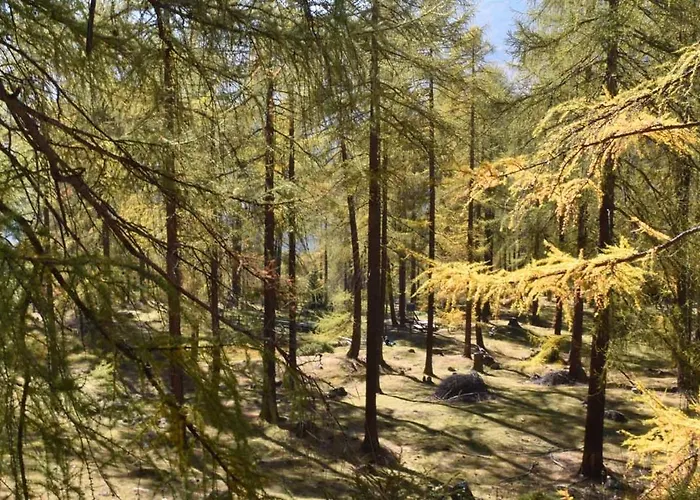 Plaun Grond Apartamento Tschierv