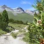 Plaun Grond Tschierv