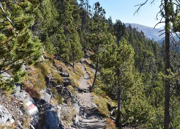 Plaun Grond Appartement Tschierv